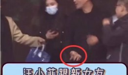 新爆料汪小菲视频播放全集,独家播放全集深度解析